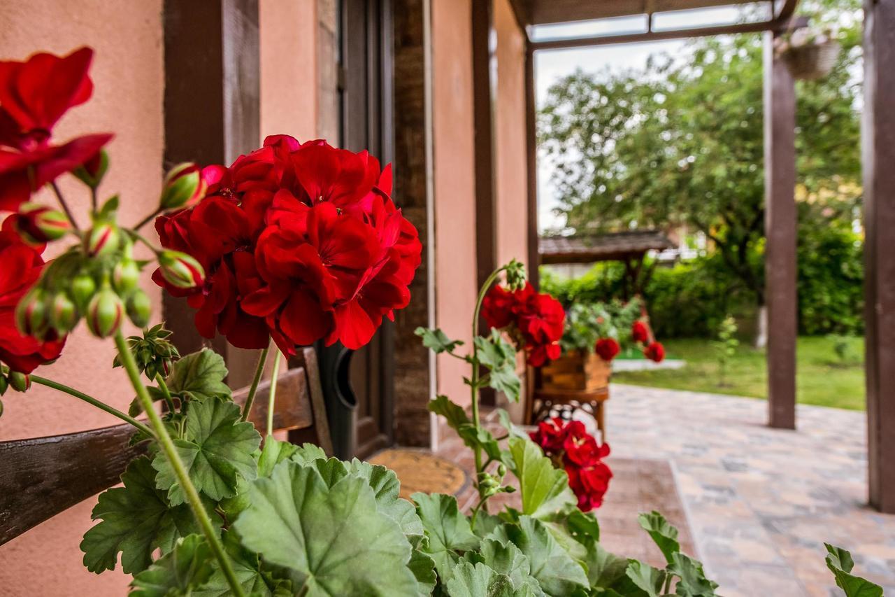 Pensiune Stefania Hunedoara Exterior photo